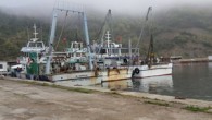 Sinop’un Türkeli ilçesi açıklarında avlanmaya çıkan iki balıkçı teknesi yoğun sisten çatıştı. Meydana gelen kazada teknelerden biri battı. Sinop’un Türkeli ilçesi açıklarında yoğun sis nedeniyle çartışan iki balıkçı teknesinden biri battı.Türkeli ilçesi açıklarında denizde avlanan iki balıkçı teknesi yoğun sisten […]