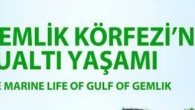 Bursa Valisi Sayın Münir Karaloğlu’nun destekleriyle gerçekleştirdiğimiz “GEMLİK KÖRFEZİ’NİN SUALTI YAŞAMI” Konulu sergi ve kitap lansmanı için Gemlik’teyiz. Tarih.5 Nisan 2016 Salı Saat.09.30 – 11.30 (Kahvaltı) Yer.Atatepe Sosyal Tesisleri/Gemlik Saygılarımla Tahsin Ceylan