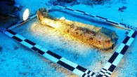 Marmaris’teki Bozburun Mahallesi açıklarında, Türk sualtı arkeoloji tarihinin en büyüğü olduğu öne sürülen seramik heykel bulundu. Marmaris’e bağlı Bozburun Mahallesi açıklarında geçen kasım ayında tespit edilen 2 bin 700 yıllık Tabak batığında, Dokuz Eylül Üniversitesi (DEÜ) Deniz Bilimleri ve Teknolojisi […]