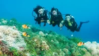 Atlantis Young Dive Ambassadors Charmaine, Lara and Jehiah diving together at Atlantis Dumaguete (Photo: Jenny Stock) Jenny Stock joins three teenage girls discovering the joys of diving thanks to the Young Dive Ambassadors programme at Atlantis Resort, Dumaguete Word and […]